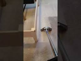 carpet cleaning greenville nc true clean 252 367 0133