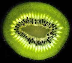 Free Image On Pixabay Kiwi Fruit Fruits Macro Kiwi Kiwi Fruit Fruit