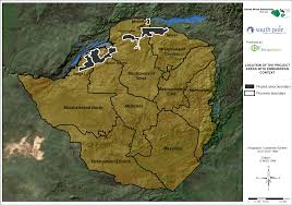 Image result for Tristachya lualabaensis