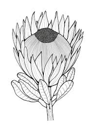 Pin On Adult Coloring Books