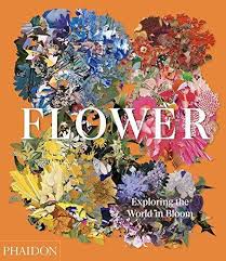 Written by frontman kurt cobain, the song addresses people outside of the underground music community who did not understand the band's message. Flower Exploring The World In Bloom Produkt