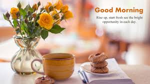 Good Morning Wallpaper With Flowers Full Hd 1920x1080 Gm Images Best funny cats and dogs compilation | pranky always funny cats and dogs compilation funny cats and dogs compilation is my first funny compilation video about.cat and dogs i hope u will like. good morning wallpaper with flowers