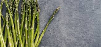 Image result for Asparagus buchananii