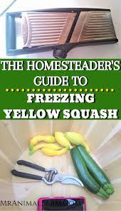 How To Freeze Yellow Squash Mranimal Farm Freezing Yellow Squash Yellow Squash Summer Squash Recipes