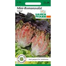 We did not find results for: Mini Romanasalat Intred Kopfsalat Salat Gemusesamen Samereien Samenhaus Knieke