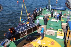 The german type 212 class (german: Agreement Reached In German Norwegian U212 Common Design U212cd Project