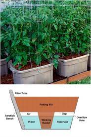 Product title hydrofarm self watering tomato tree planter with 3' sturdy frame tower (4 pack) average rating: 15 Diy Self Watering Planters That Make Container Gardening Easy Diy Crafts