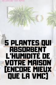 5 Plantes Qui Absorbent L Humidite De Toutes Les Pieces En 2020 Plantes Qui Purifient L Air Plantes Maison Plante