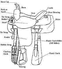 Printable Western Saddle Parts Horse Lessons Horse Camp Horse Anatomy