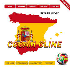 This is not our premium cccam to get the full satellites access get our premium service. 2020 Spain Cccam Egygold Server Hd Stable Europe 7 10 Lines Portugal Poland Italia 1 Year 2 Year Tv V7s V8 Satellite Tv Receptor Satellite Tv Receiver Aliexpress