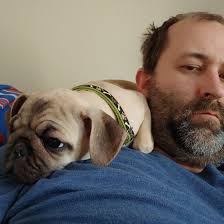 What's a good excuse to call into work to watch the Yankees game and  Rizzo's return?