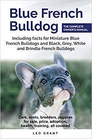 Buy the best and latest french bulldog accessories on banggood.com offer the quality french bulldog accessories on sale with worldwide free shipping. Buy Blue French Bulldog Care Costs Price Adoption Health Training And How To Find Breeders And Puppies For Sale Book Online At Low Prices In India Blue French Bulldog Care Costs