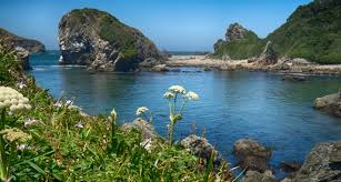 Choose from more than 135 properties, ideal house rentals for families, groups and couples. Harris Beach State Park Oregon State Parks