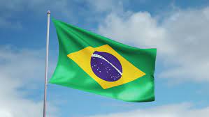 Check out our brazil waving flag selection for the very best in unique or custom, handmade pieces from our shops. Our Guide For How To Register Medical Devices In Brazil Regdesk