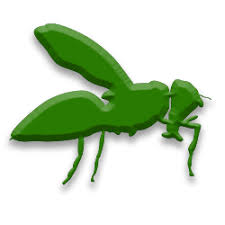 From the first day, you will be greeted by the smiles of our friendly and capable staff who will work with you to eliminate any. Pest Control Services Marysville Everett Kirkland Wa Harns Pro Tech Pest Management