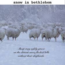 Haiku Xxxiv From Snow In Bethlehem Subtitled 50 Haiku And A Tanka Poetry Poetsofisntagram Poetrycommunity Irishpoetry Haiku Poetry Haiku Poems Haiku