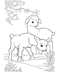 Animal line drawings cartoon drawings t shirt sketch animals with horns crazy animals gemini art aries sheep vector goat art. 13 Goat Color Pages Ideas Coloring Pages Animal Coloring Pages Coloring Book Pages