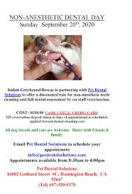 We offer low cost pet dentals with high quality care. Facebook