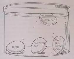 what causes eggs to sink or float? quora
