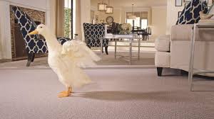 Mohawk is the world's largest flooring company, offering a comprehensive selection of hard and soft surface products for residential and commercial spaces. Why Mohawk Carpet Flooring Is Perfect For Animal Lovers
