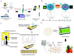 Lots of amazing and unbelievable discoveries have been made by metal detectors. Sensors Free Full Text Emerging Point Of Care Technologies For Food Safety Analysis Html