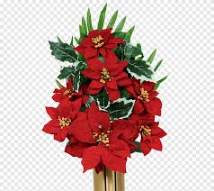 We did not find results for: Funeral Cemetery Flower Salmon Color Red Daisy Flower Arranging Decor Png Pngegg