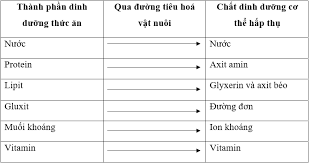 Check spelling or type a new query. Ly Thuyáº¿t Cong Nghá»‡ 7 Bai 38 Vai Tro Cá»§a Thá»©c Äƒn Ä'á»'i Vá»›i Váº­t Nuoi Hay Chi Tiáº¿t