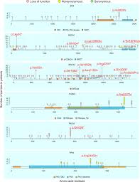 World cancer day is an international day marked on february 4 to raise awareness of cancer and to encourage its prevention, detection, and treatment. Germline Pathogenic Variants Of 11 Breast Cancer Genes In 7 051 Japanese Patients And 11 241 Controls Nature Communications