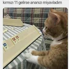 Ananizi Miyavladim Kedi Esprileri Komik Komik Seyler