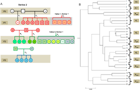 Single Family Multigeneration Genome Analysis Series 2 By