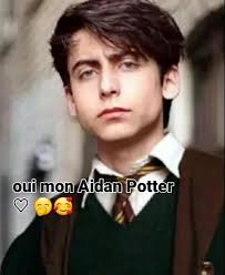 Aidan Harry Potter