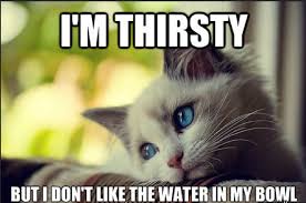 Asian wooden coffee tables with glass top are a good way to mix the bold wooden materials and colors with the lighter and transparent glass. My Cat Will Only Drink From A Glass On The Coffee Table Imgur