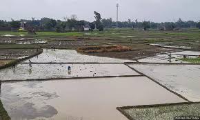 जून में कम बार‍िश से प‍िछड़ी खरीफ फसलों की बुवाई | Lower June Rainfall  Impacts Kharif Sowing