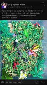 Rainforest Sensory Bin Sensory Bins Rainforest Activities Spring Preschool