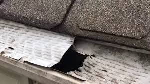 Maybe you would like to learn more about one of these? Cowleys Pest Services Wildlife Removal Squirrels Chew Through Gutter Guards In Holmdel Nj Home