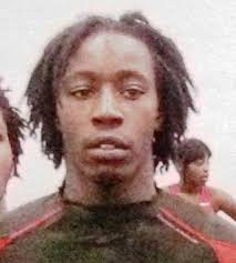 Chicago Public League Sports Blog: Robeson