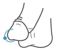 prinz albert piercing die richtige pflege prontolind de