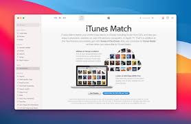 Downloading lots of songs or albums from the apple music catalog can use up a lot of local storage on your device. How To Download All Itunes Match Songs Ultimatepocket