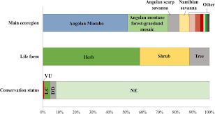 Image result for Eriosema angolense