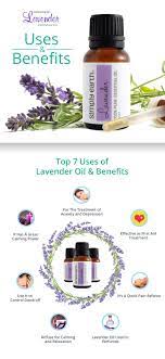 10 Useful Applications Of Lavender Essential Oil Take Advantage Of The Benefits Essential Oils Aromatherapy Lavender Essential Oil Essential Oils