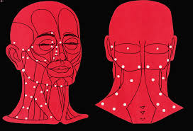 Dim Mak Pressure Point Chart Death Touch