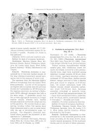 Image result for Meiosperma