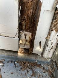 Image result for site:byggahus.se rötskada