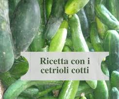 Il cetriolo (cucumis sativus) è un tipo di pianta erbacea annuale a fusto rampicante che appartiene i cetrioli hanno una forma allungata e presentano una buccia consistente, liscia o rugosa. Ricetta Con I Cetrioli Cotti Agriturismo Ca Sottane