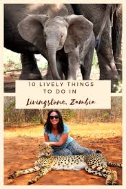 10 Lively Things To Do In Livingstone Zambia Eternal Arrival Africa Travel Zambia Africa Africa Adventure