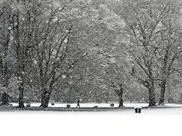 Diese fragen werden in unzähligen foren und blogbeiträgen im internet immer wieder heiß diskutiert. Schneit Es In Dieser Woche In Niedersachsen
