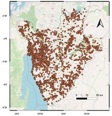 Image result for Agelanthus keilii