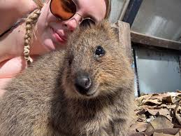 Australasian Evolution Society (@AustEvolSoc)