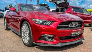 Image result for Rubellite Red 2017 S