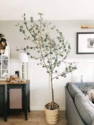 How To Make A Diy Faux Eucalyptus Tree In 2021 Faux Tree Decor Faux Olive Tree